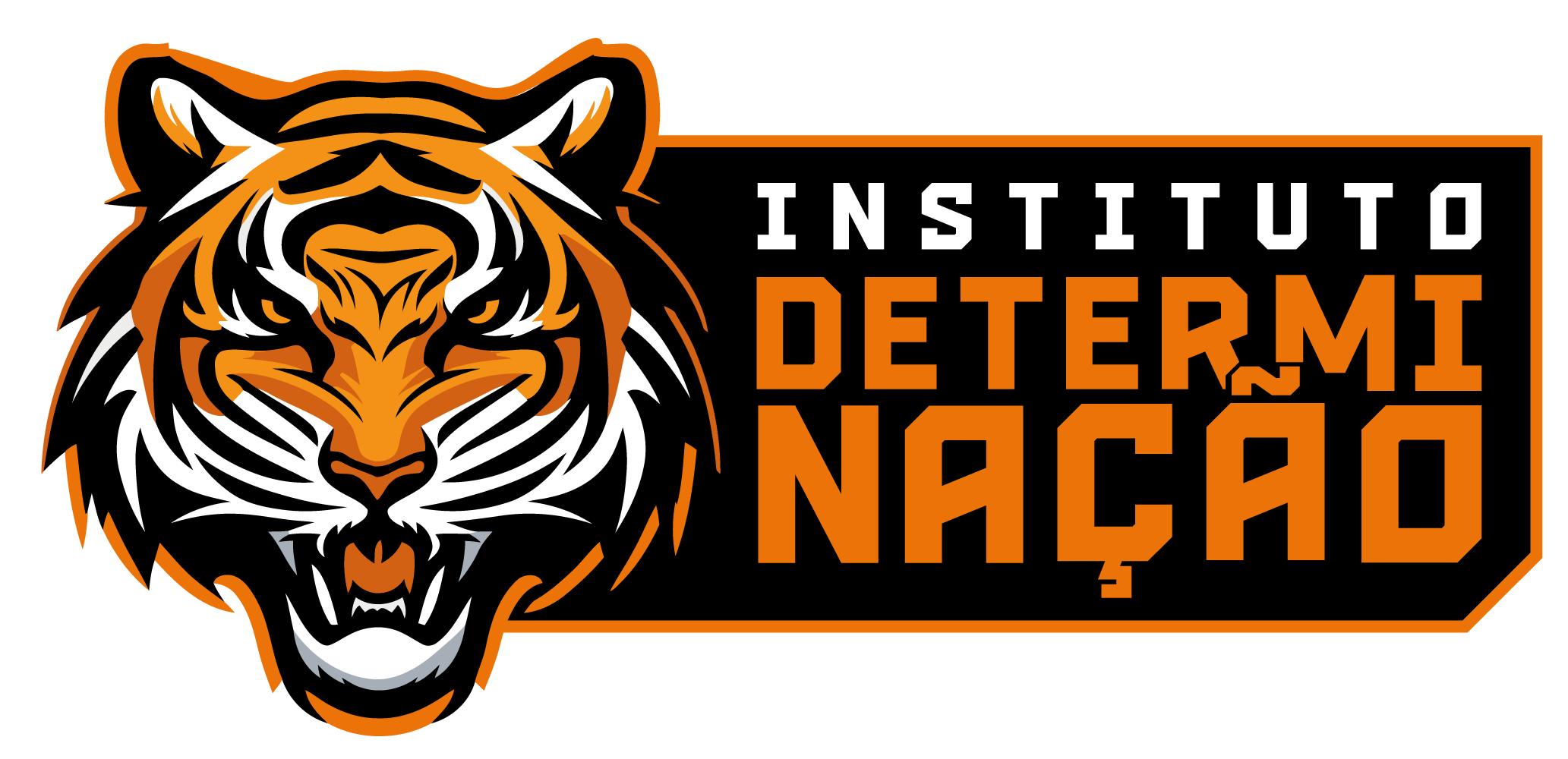 Instituto Determinação Logo